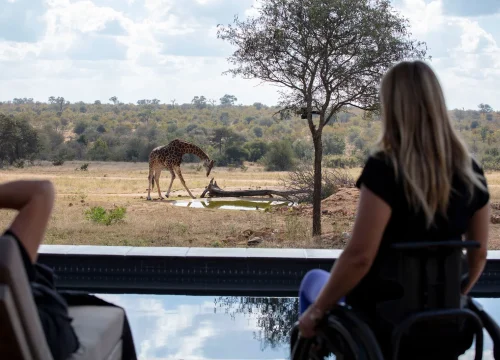 6-day safari itinerary tailored for persons with special needs and mobility issues.